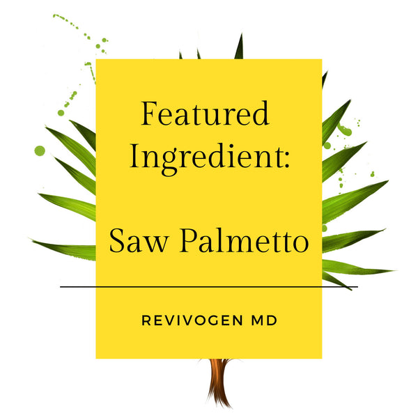Featured Ingredient: Saw Palmetto