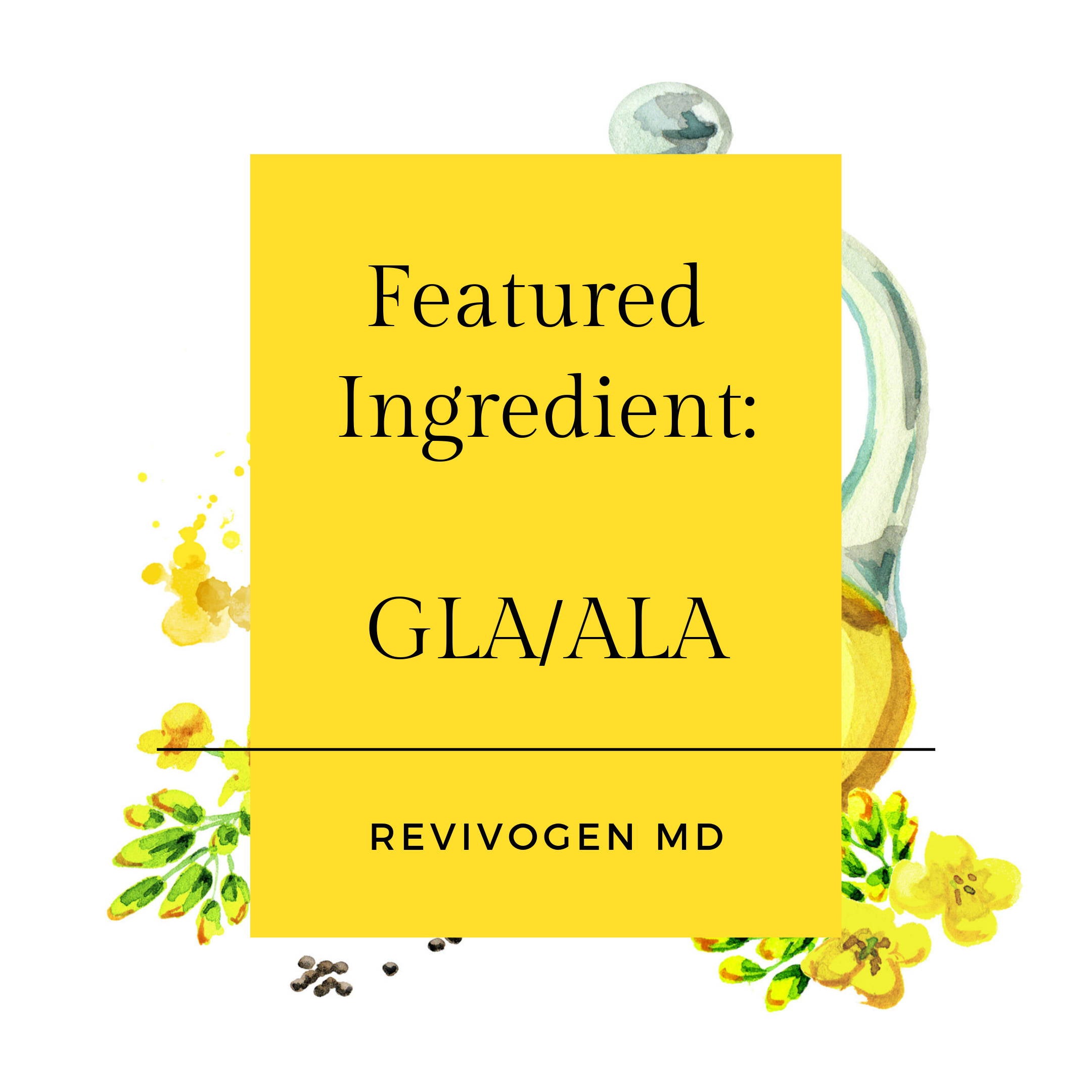 Featured Ingredient: Fatty Acids